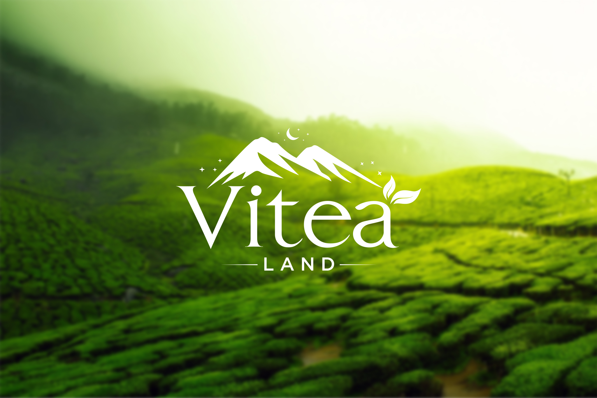 THIẾT KẾ BỘ NHẬN DIỆN VITEA LAND