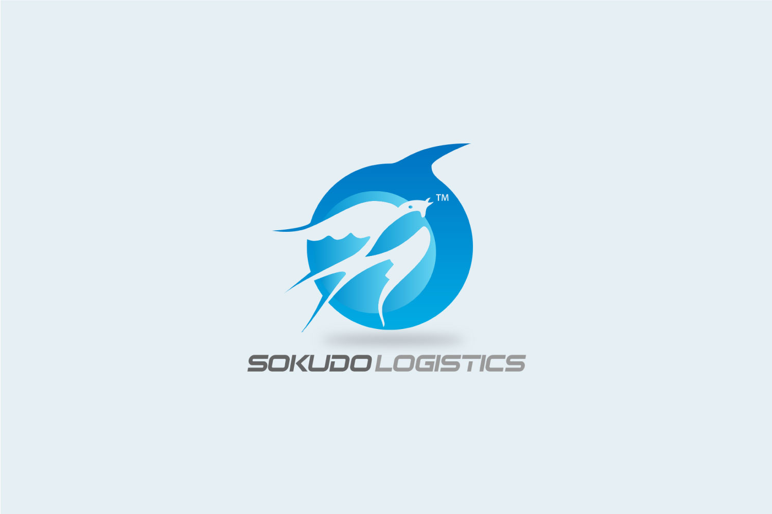  THIẾT KẾ LOGO SOKUDO LOGISTICS