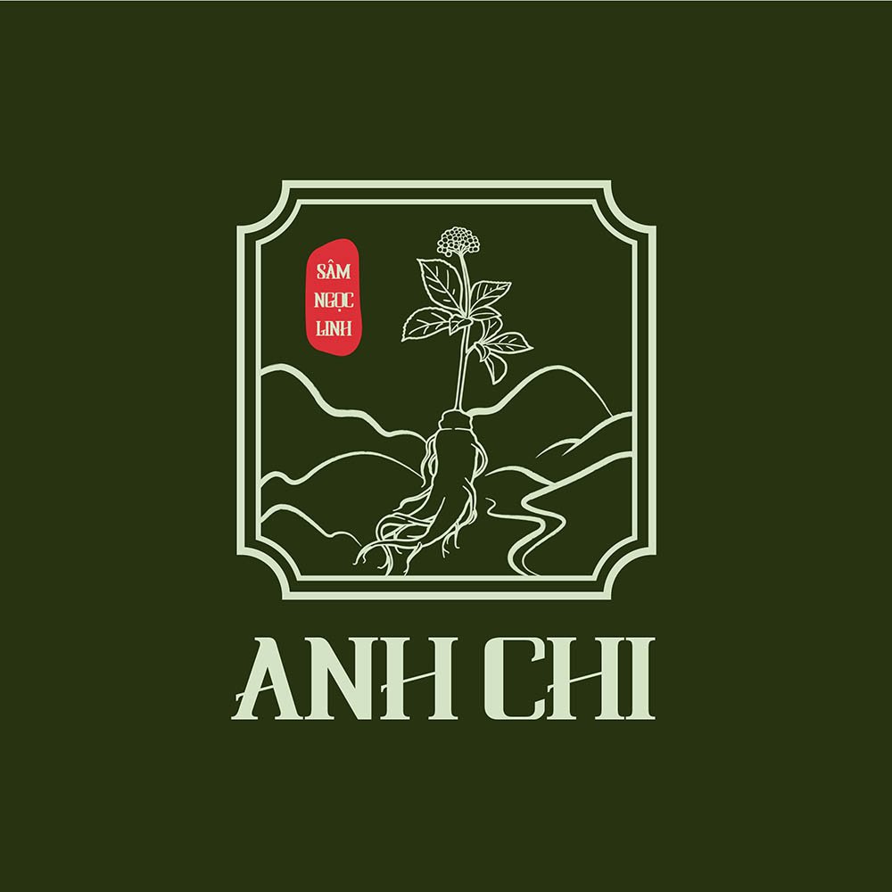 THIẾT KẾ LOGO SÂM ANH CHI