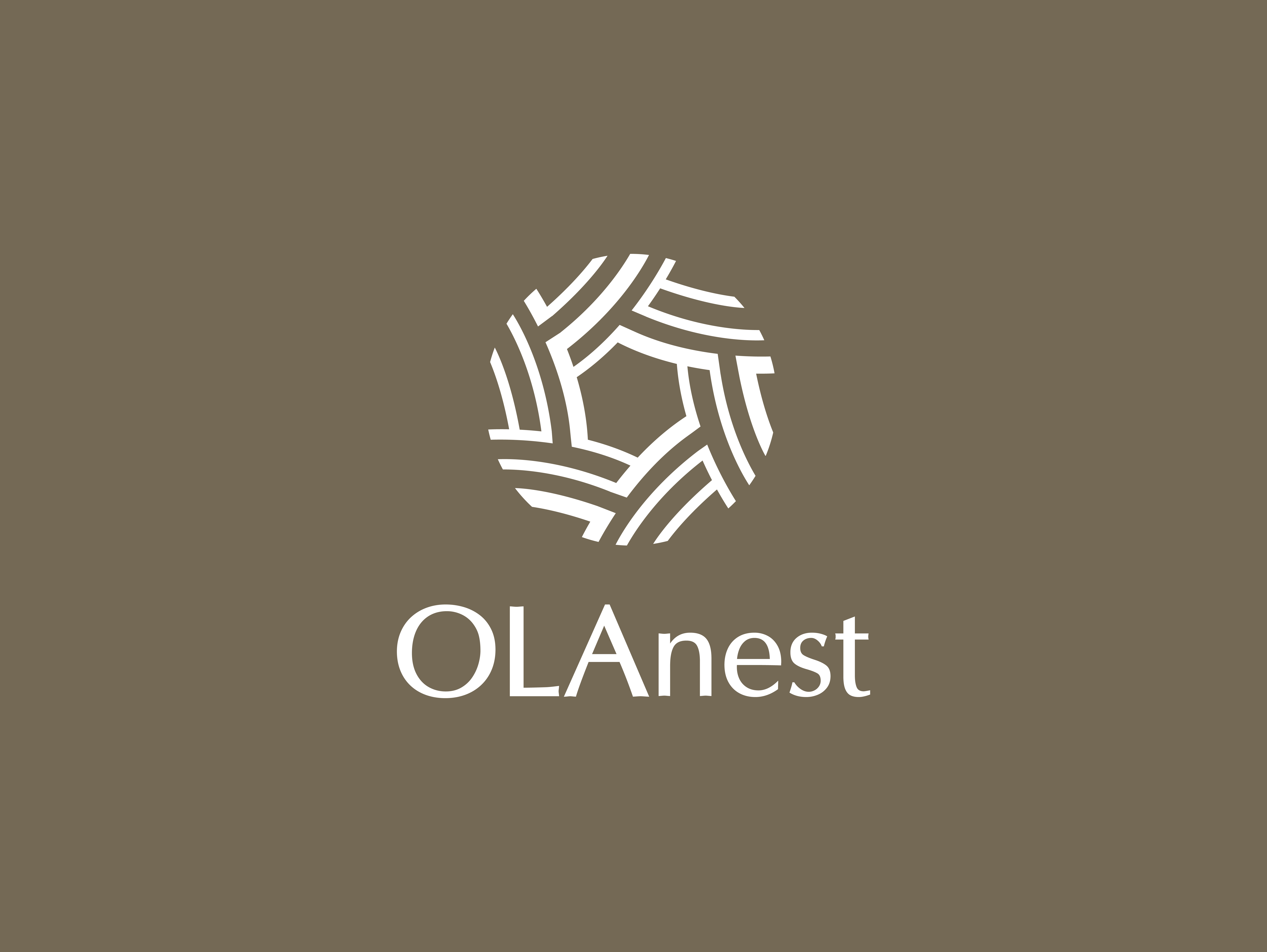 Thiết kế logo dự án OLAnest