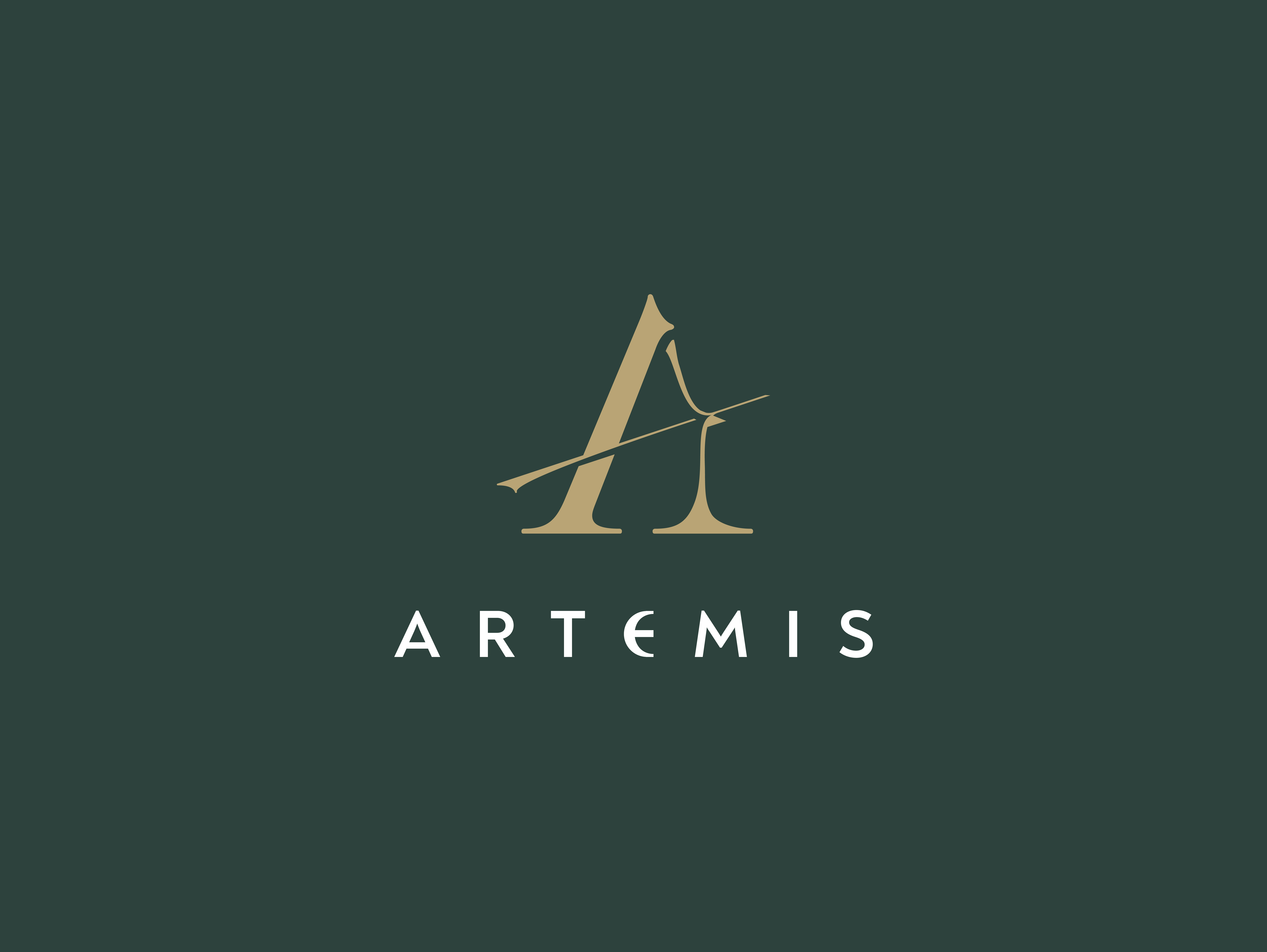 THIẾT KẾ LOGO ARTEMIS