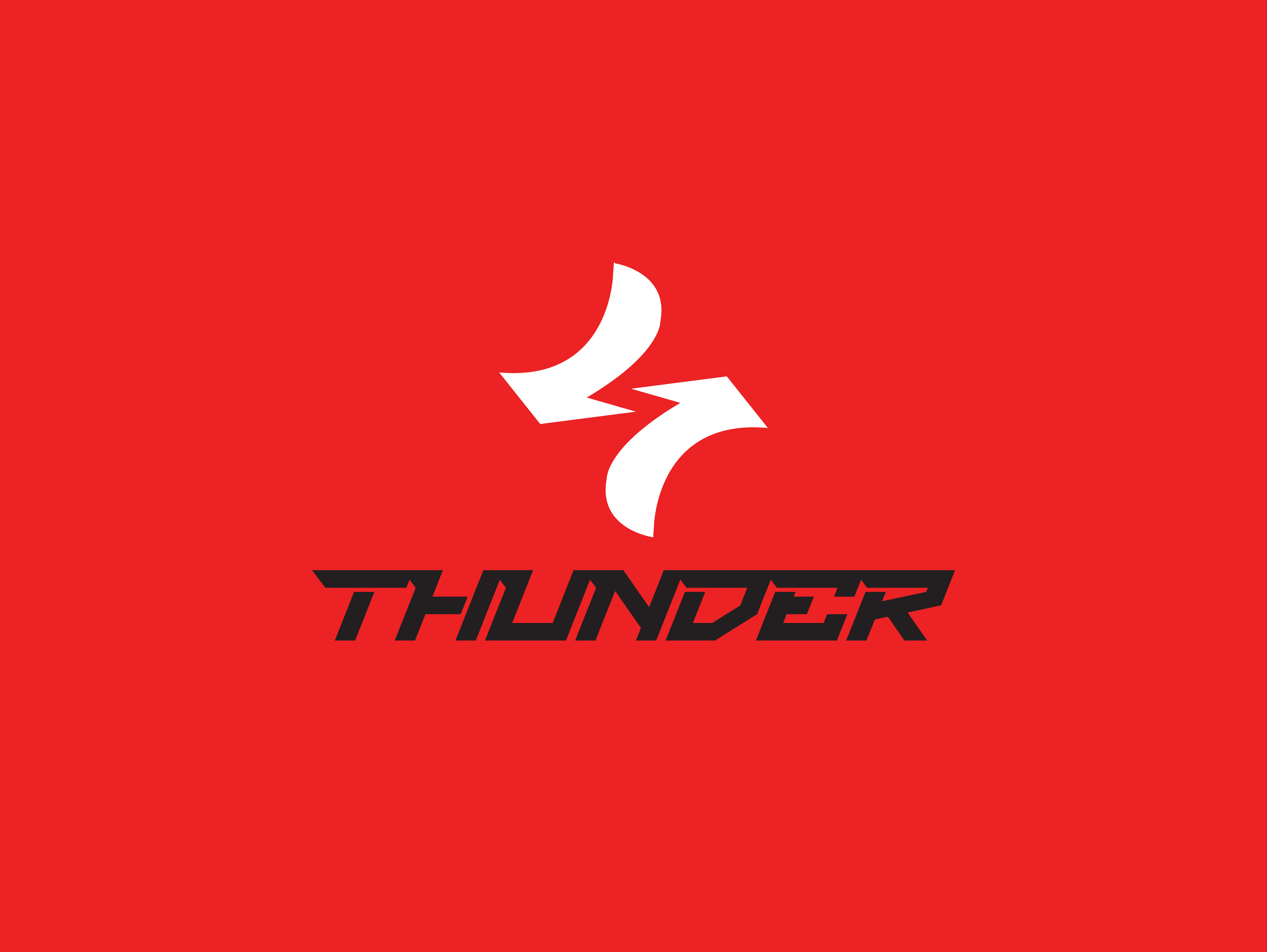 Thiết kế logo thương hiệu Thunder 