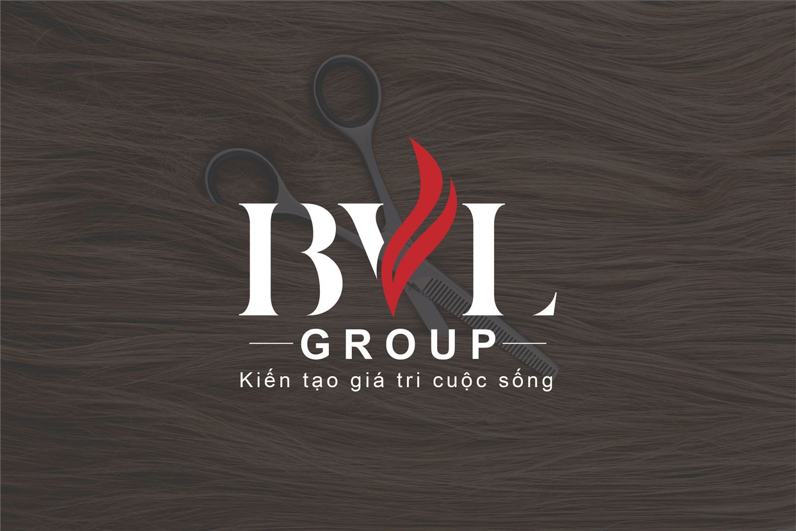 Thiết kế logo cho mỹ phẩm tóc BVL Group