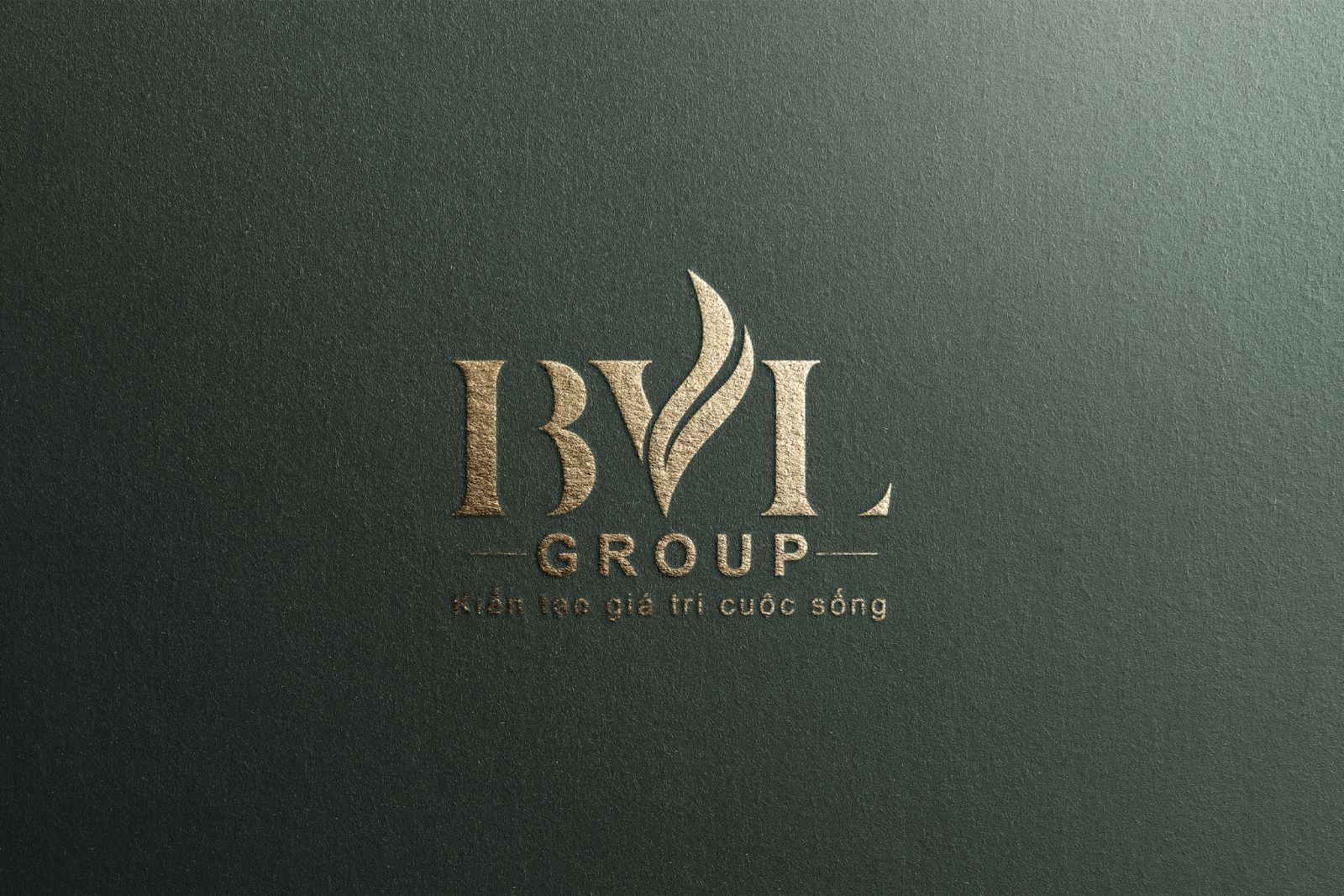 Thiết kế logo cho mỹ phẩm tóc BVL Group